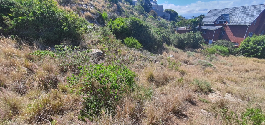 0 Bedroom Property for Sale in Linkside Western Cape